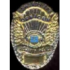 EDWARDS AIR FORCE BASE SECURITY POLICE BADGE